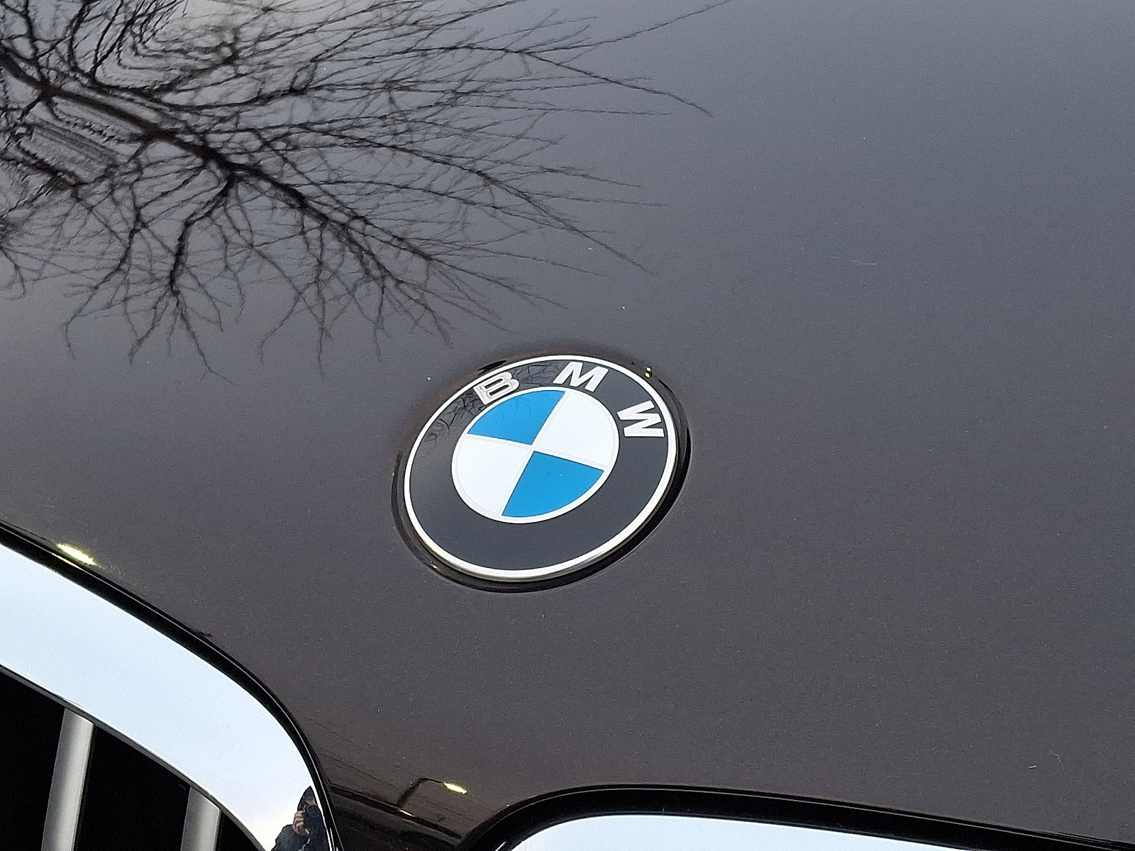 Used 2023 BMW X5 xDrive40i w/ Premium Package image 8