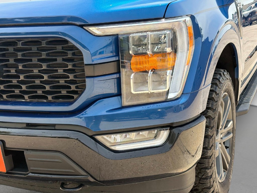 Used 2023 Ford F150 XLT w/ Equipment Group 302A High AWD/4WD image 11