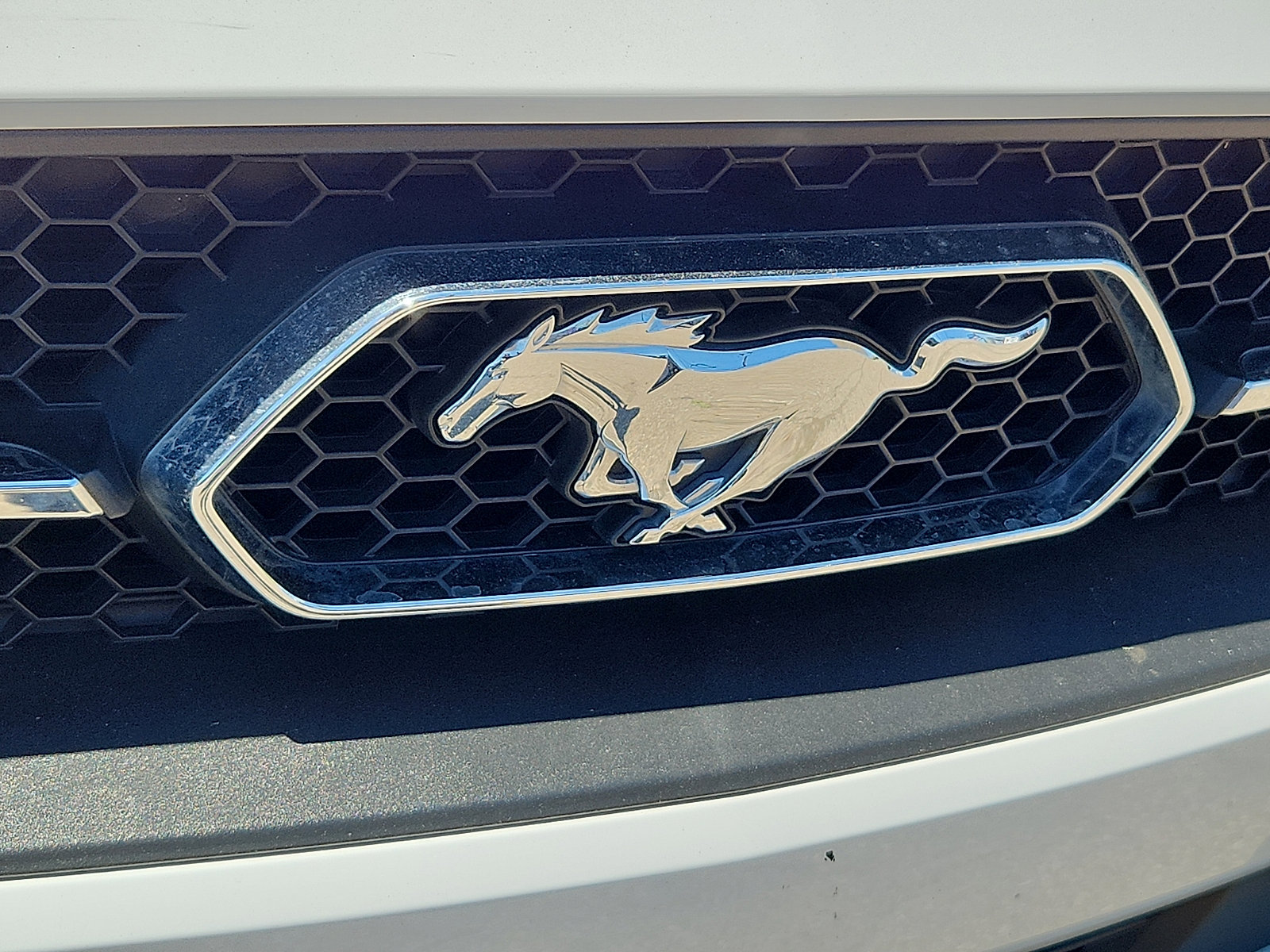 Used 2021 Ford Mustang Premium w/ Pony Package RWD image 30