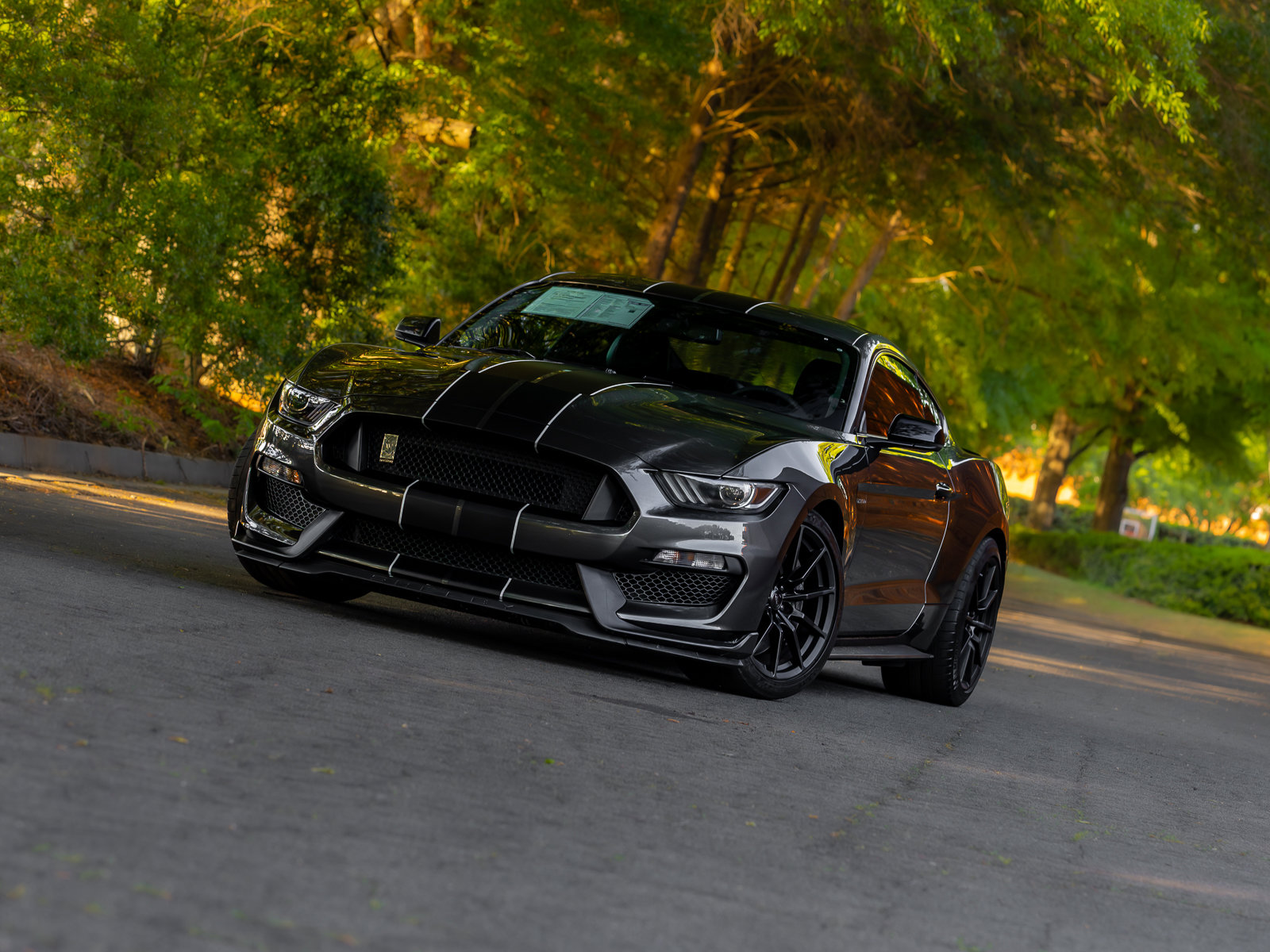 Used 2016 Ford Mustang Shelby GT350 w/ Technology Package RWD image 22