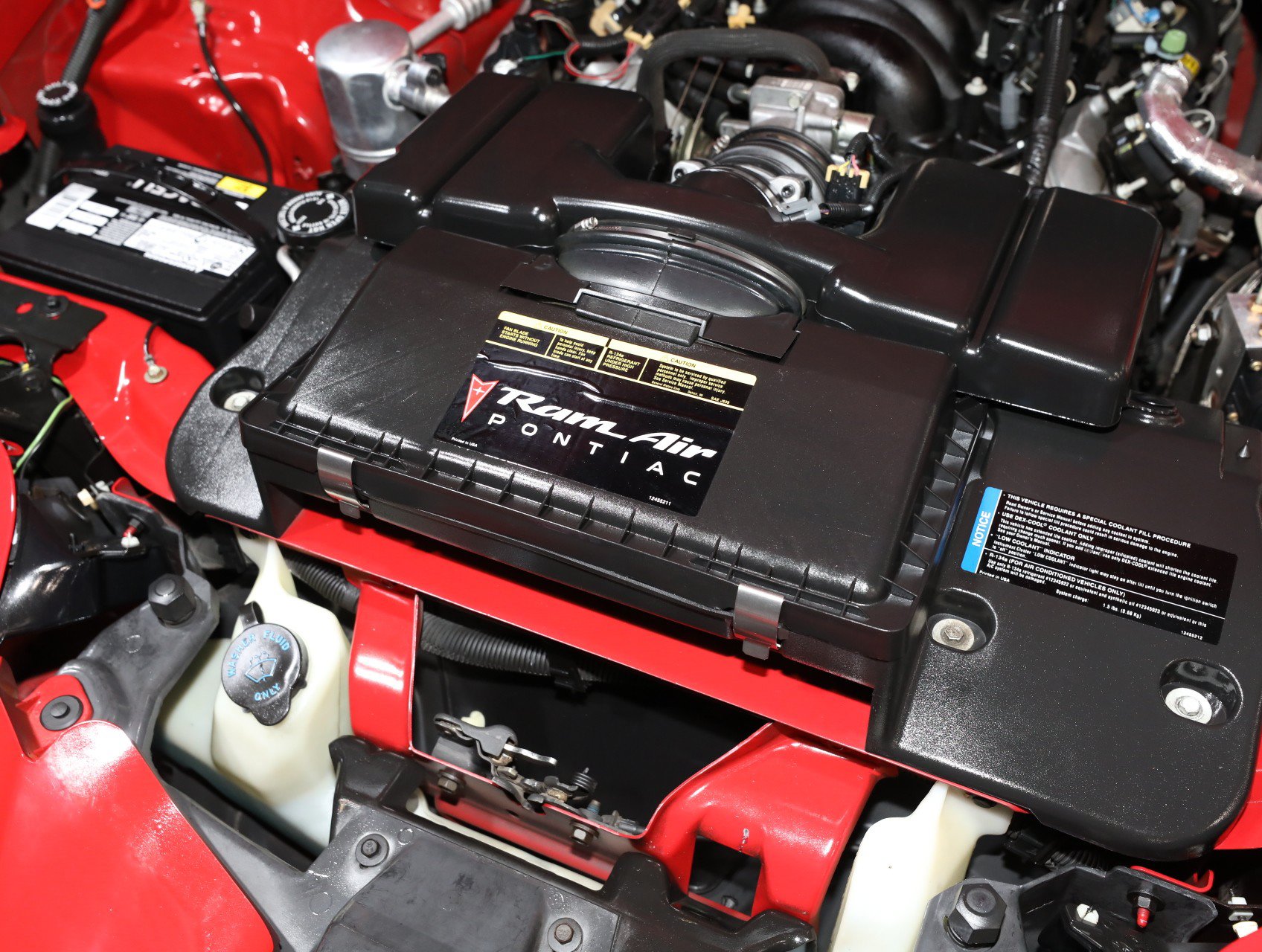 Used 1999 Pontiac Firebird Trans Am RWD image 69