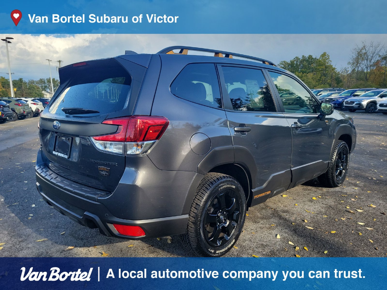 Certified 2023 Subaru Forester Wilderness AWD/4WD image 5