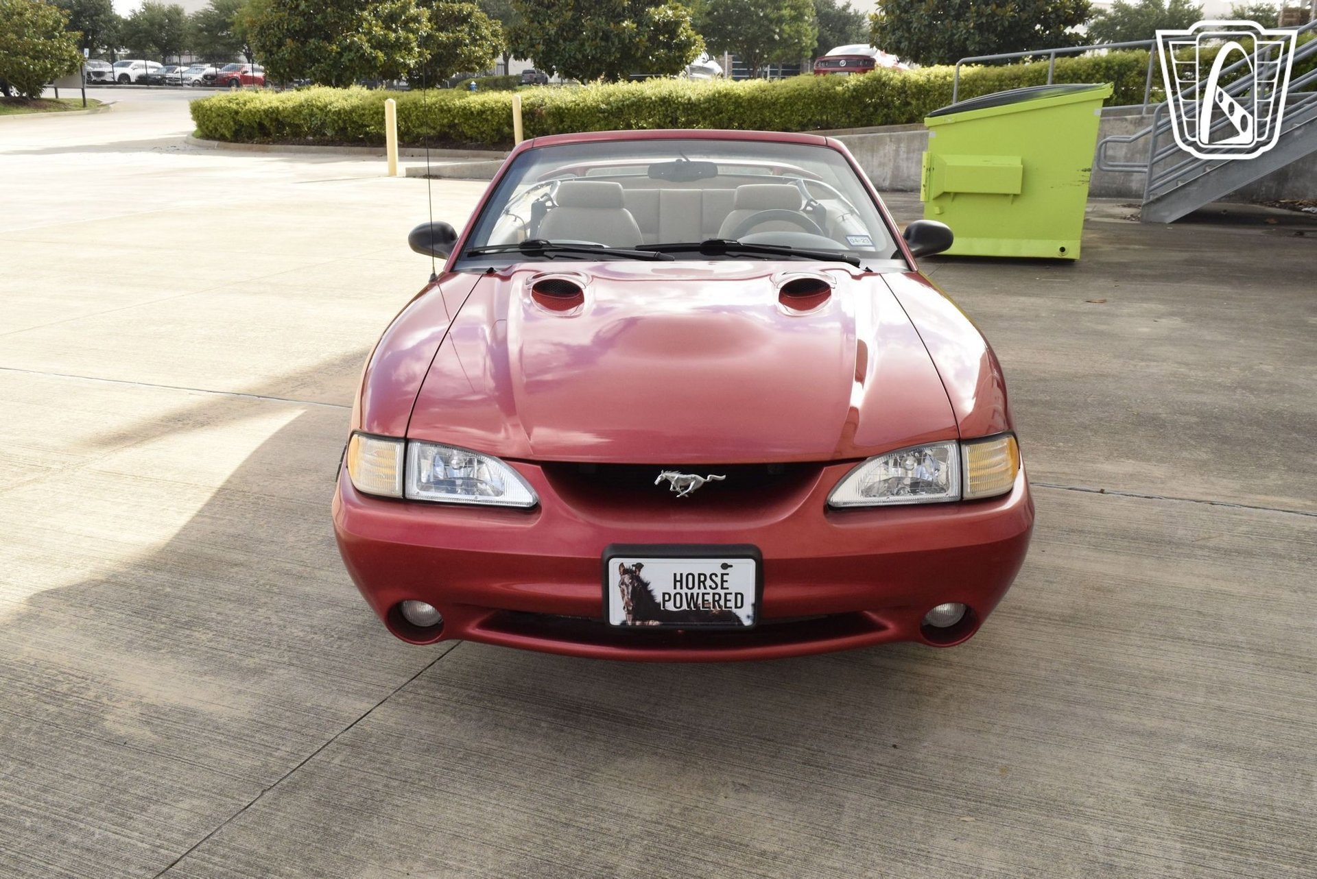 Used 1998 Ford Mustang Cobra image 18