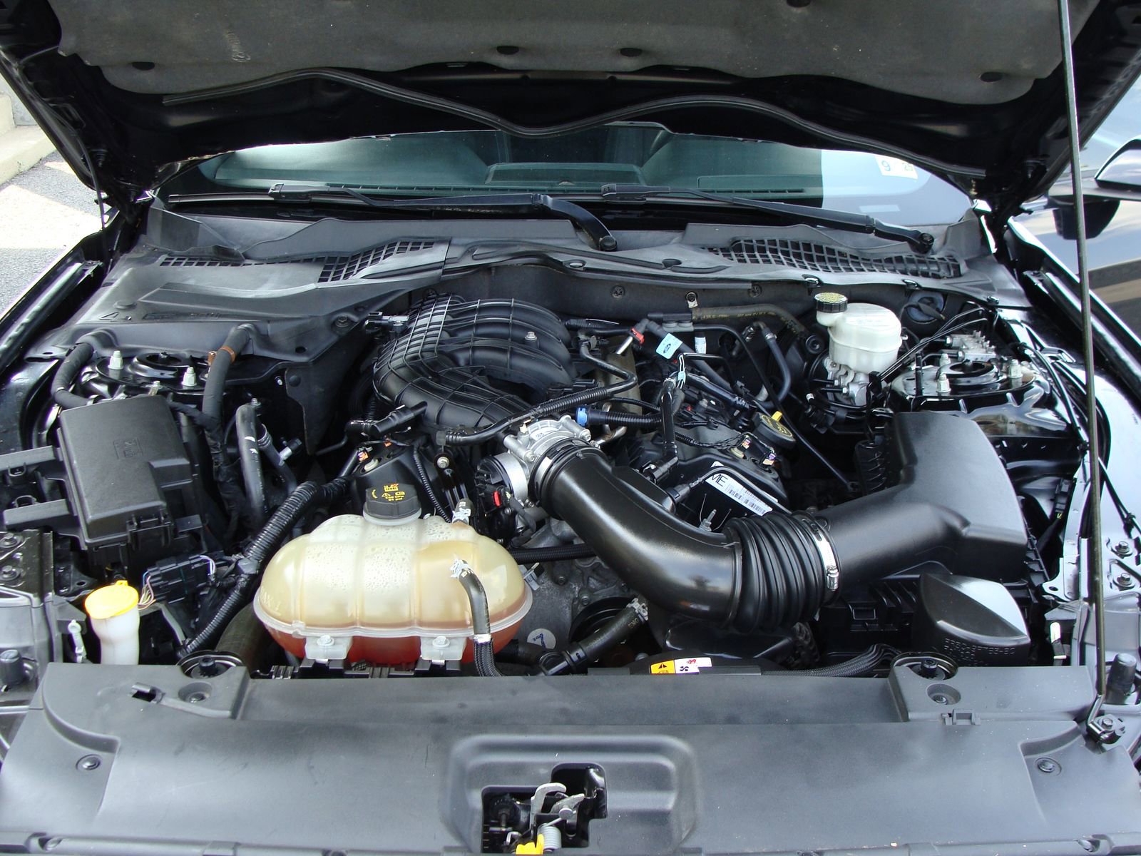 Used 2015 Ford Mustang Coupe image 34