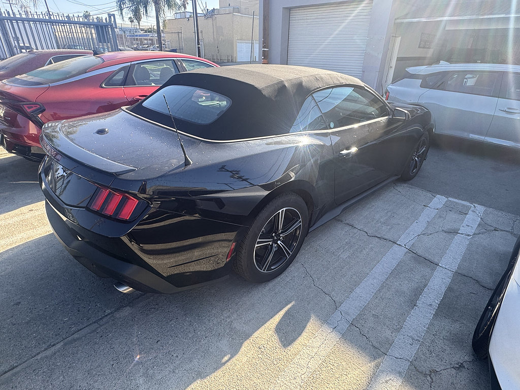 Used 2025 Ford Mustang Premium RWD image 4