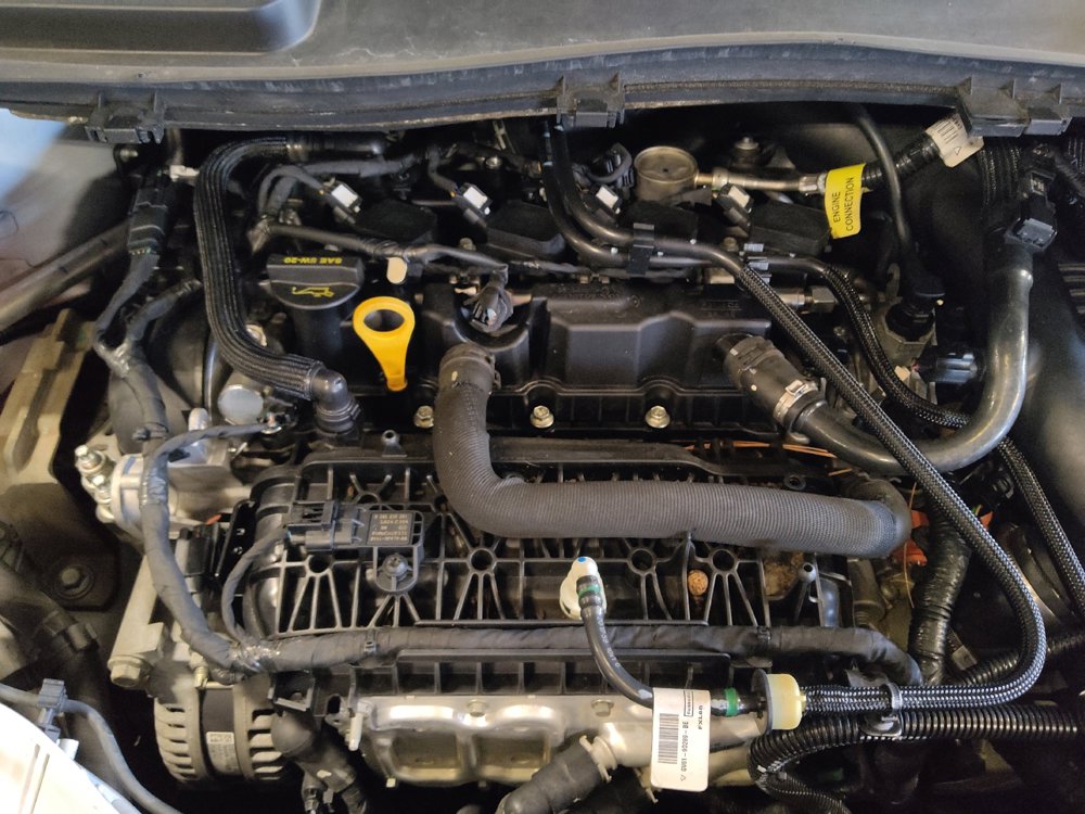 Used 2019 Ford Escape SEL FWD image 30