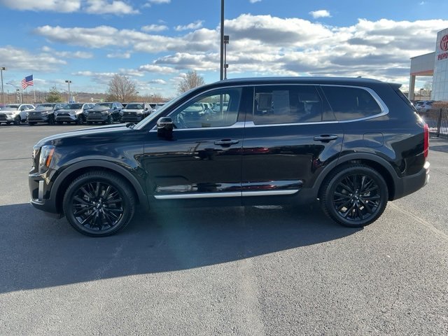 Used 2020 Kia Telluride SX w/ SX Prestige Package image 8