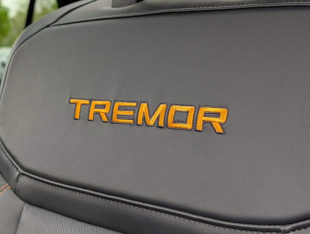 Used 2025 Ford Expedition Tremor AWD/4WD image 40