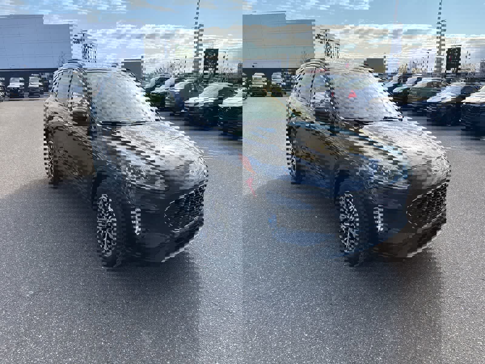 Used 2020 Ford Escape SEL image 3