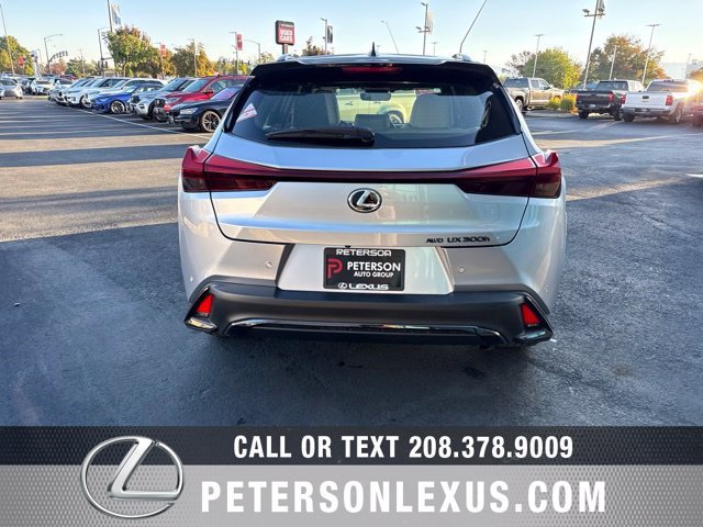 New 2026 Lexus UX 300h AWD w/ Cold Area Package image 5