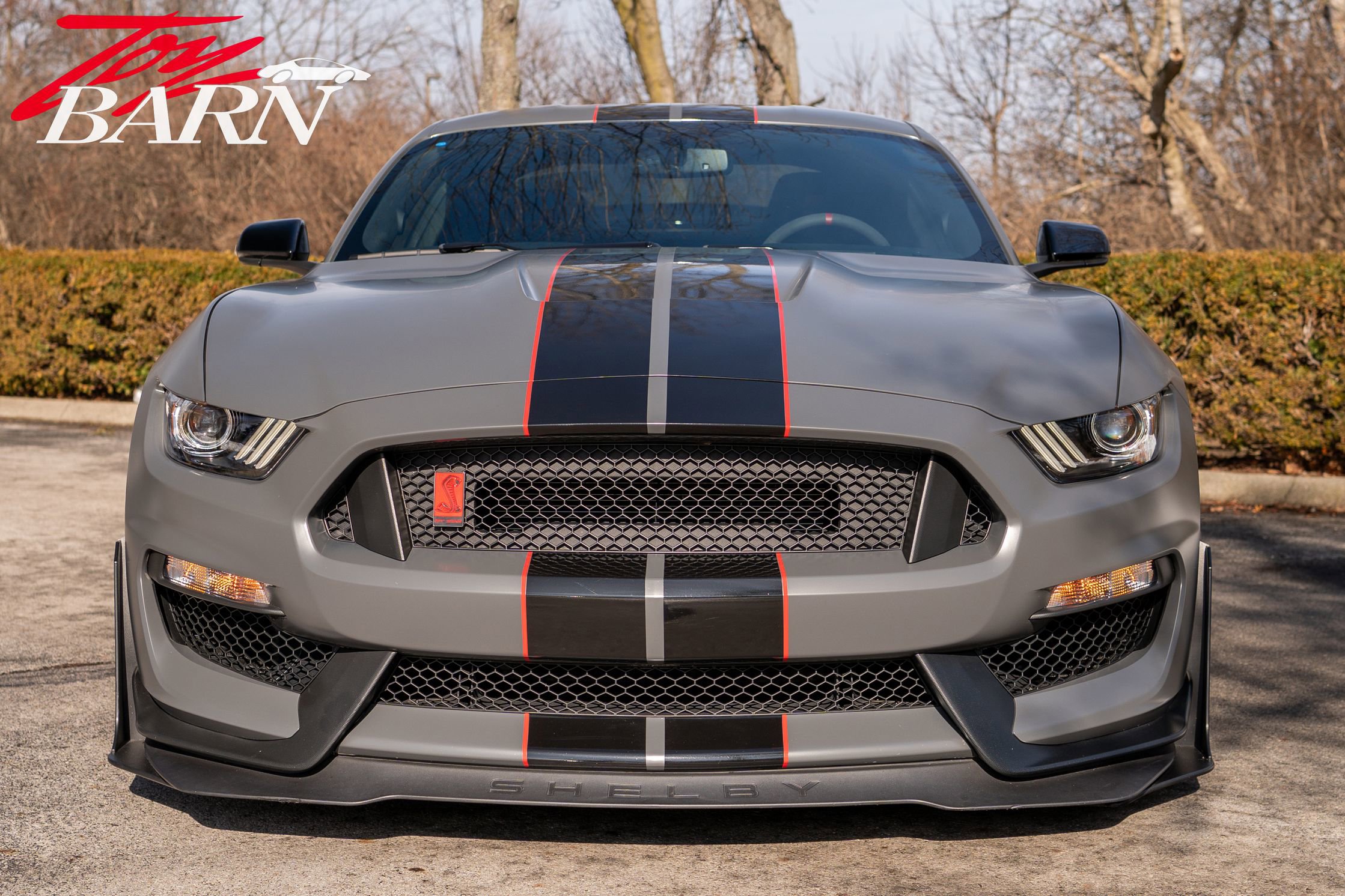 Used 2018 Ford Mustang Shelby GT350R w/ GT350R Equipment Group 920A image 2