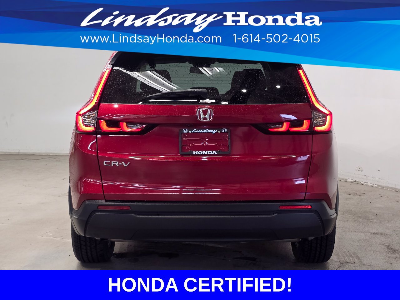 Certified 2024 Honda CR-V EX image 5