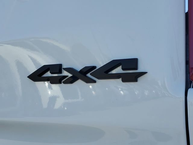 New 2026 RAM 1500 RHO w/ RHO Level 1 Equipment Group image 8