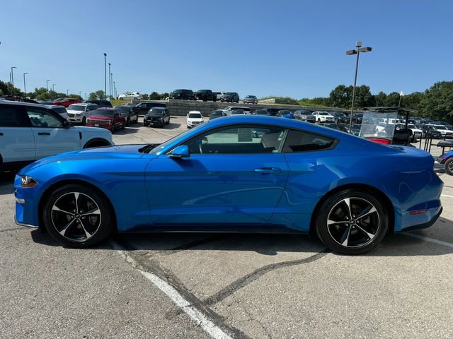 Used 2021 Ford Mustang EcoBoost image 4