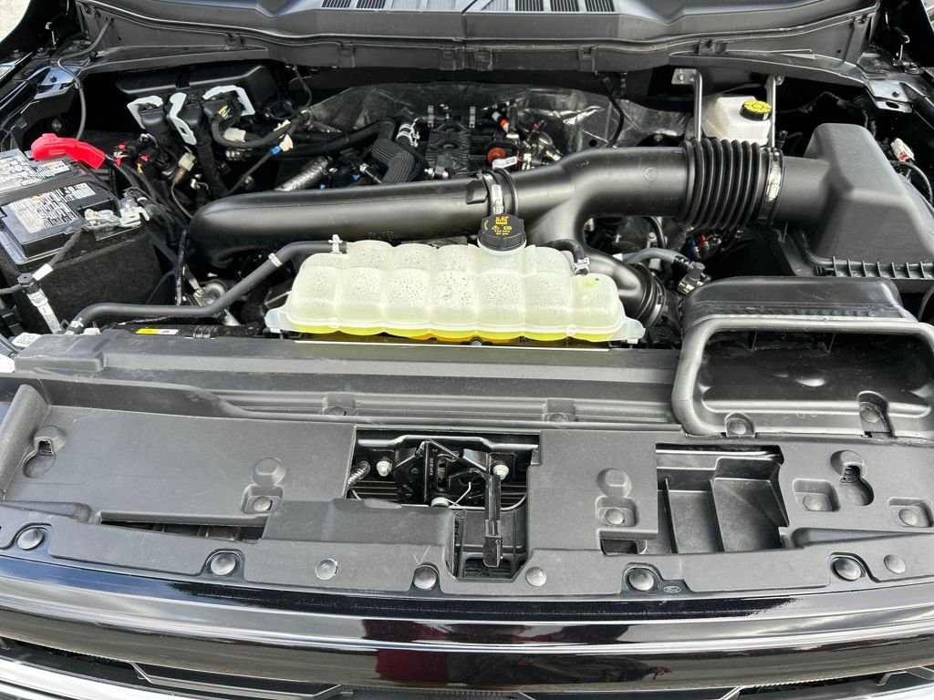 Used 2025 Ford F150 XLT w/ Equipment Group 301A Standard image 22