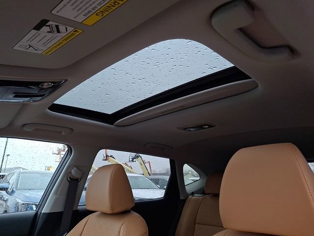 Used 2024 Kia Seltos EX image 14