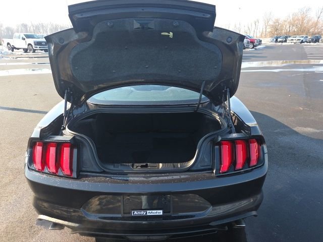 Certified 2023 Ford Mustang Coupe w/ Equipment Group 101A image 10