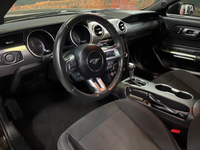 Used 2020 Ford Mustang Coupe w/ Equipment Group 101A image 20