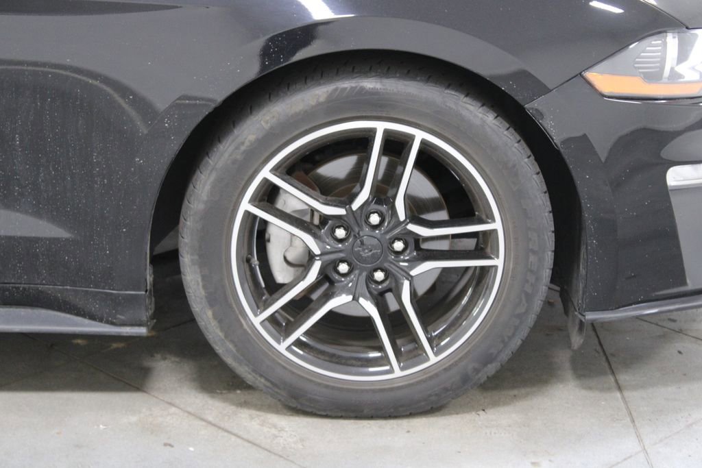 Used 2023 Ford Mustang Premium image 13