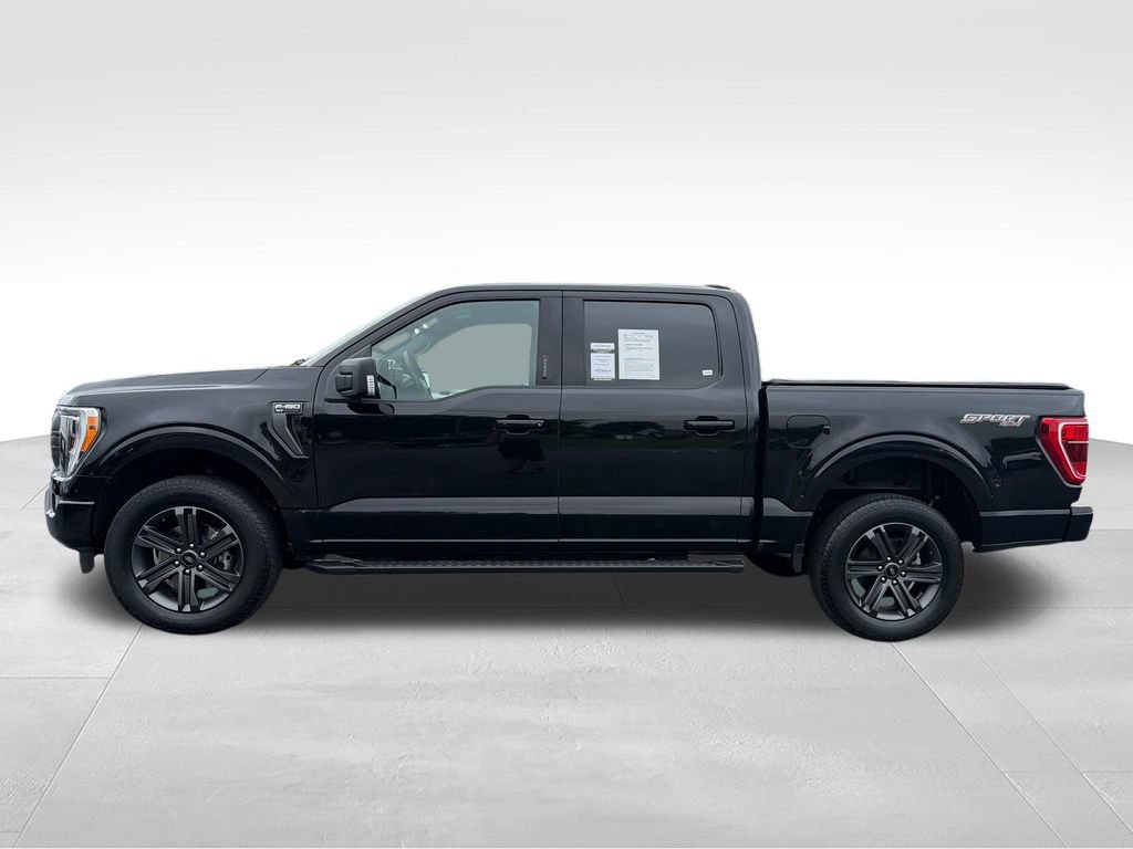 Used 2023 Ford F150 XLT w/ Equipment Group 302A High AWD/4WD image 3