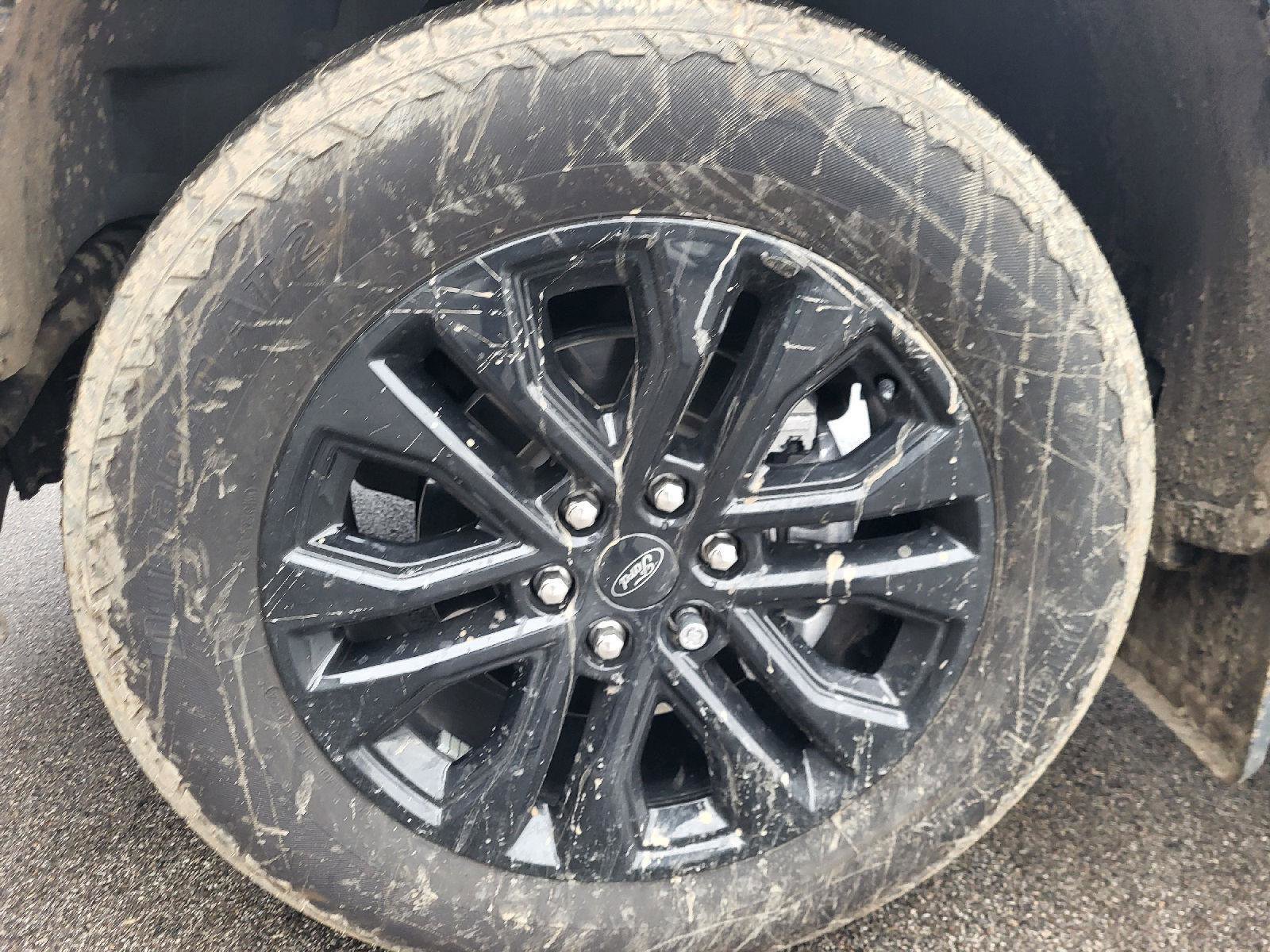 Used 2025 Ford F150 Lariat image 15