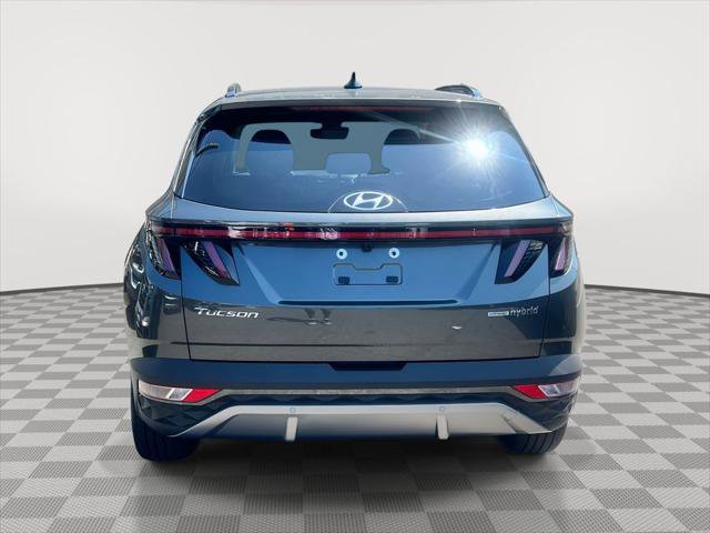 Used 2024 Hyundai Tucson Limited image 5