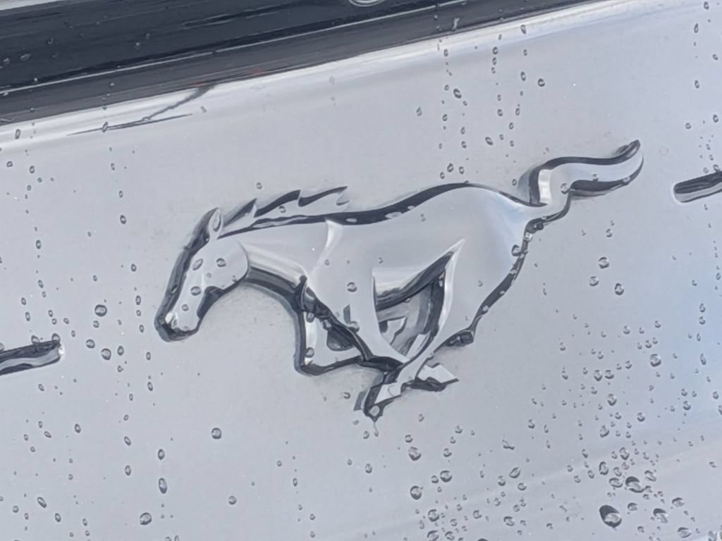 Used 2019 Ford Mustang Premium w/ Equipment Group 201A RWD image 11
