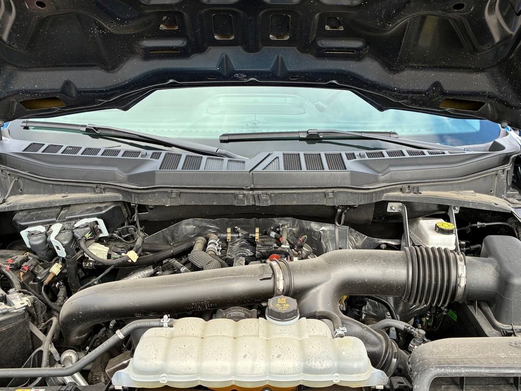 Used 2025 Ford F150 XLT w/ Equipment Group 301A Standard image 9