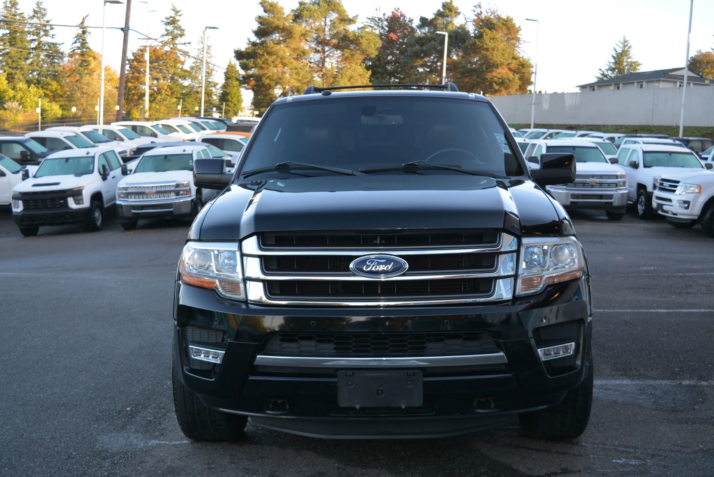 Used 2016 Ford Expedition Limited image 2
