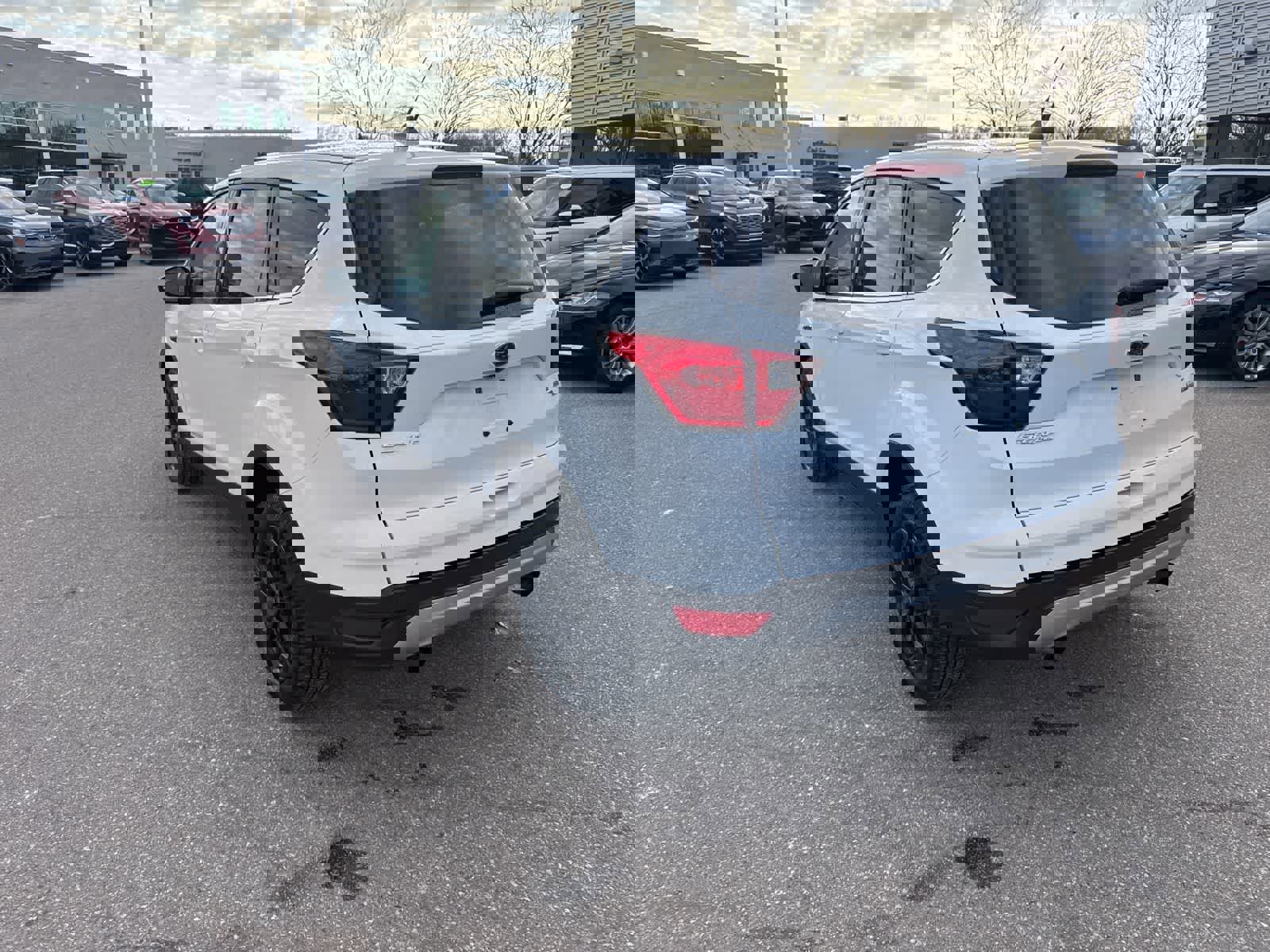 Used 2019 Ford Escape SE image 7