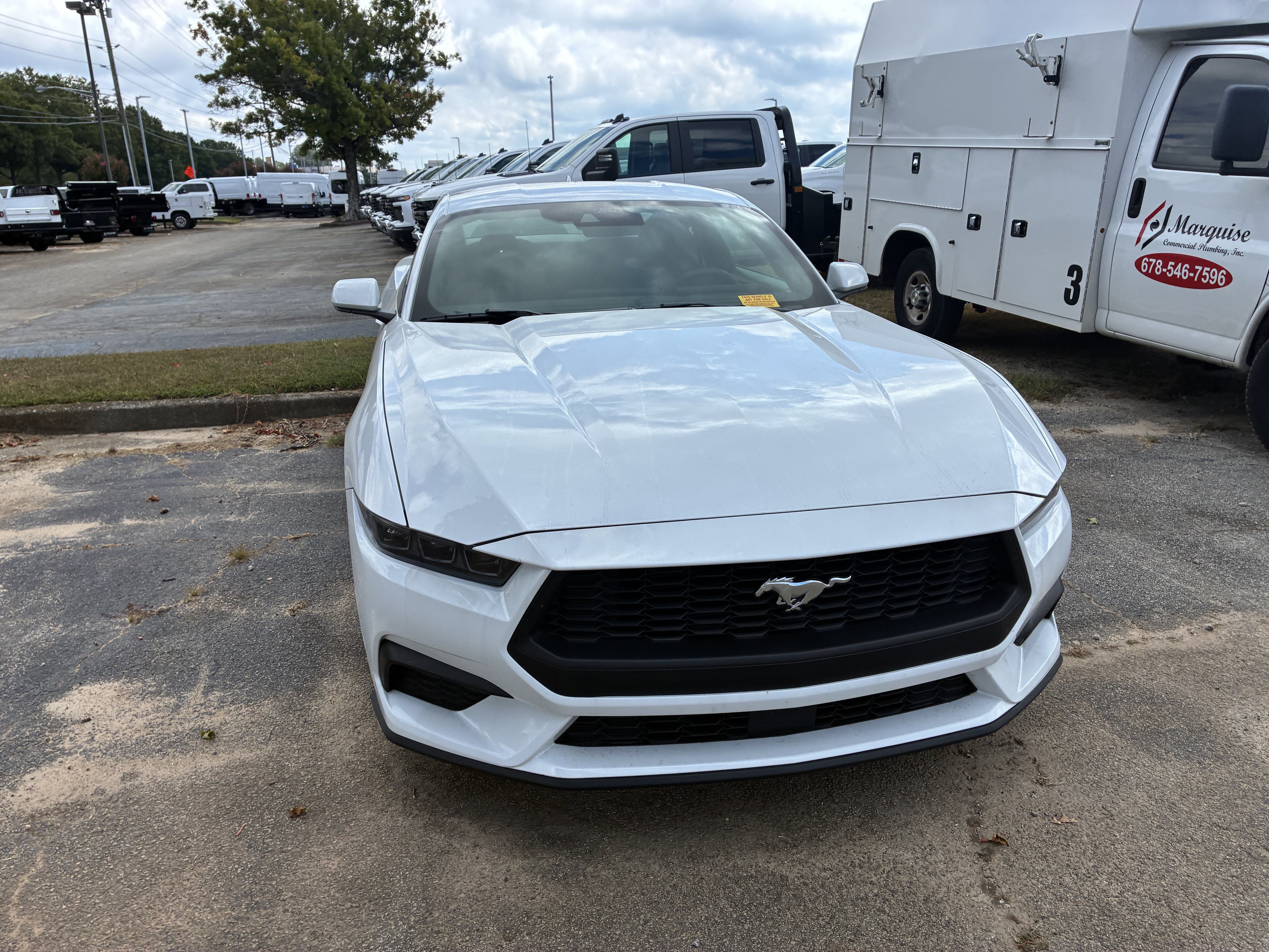 Used 2025 Ford Mustang Coupe RWD image 2