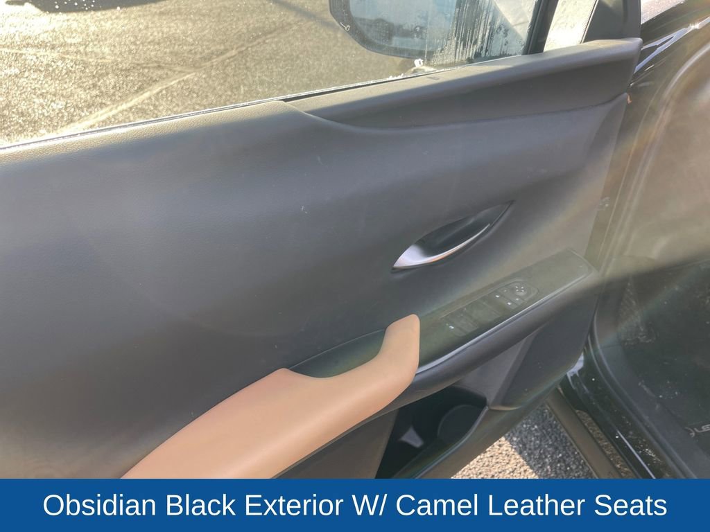 Used 2025 Lexus UX 300h AWD w/ Cold Area Package image 10