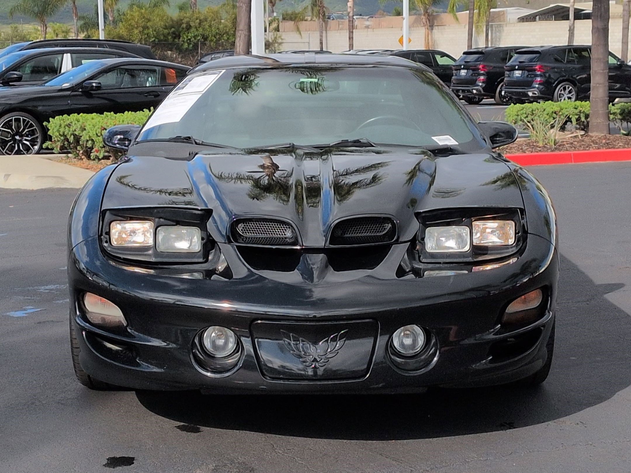 Used 2002 Pontiac Firebird Trans Am image 34