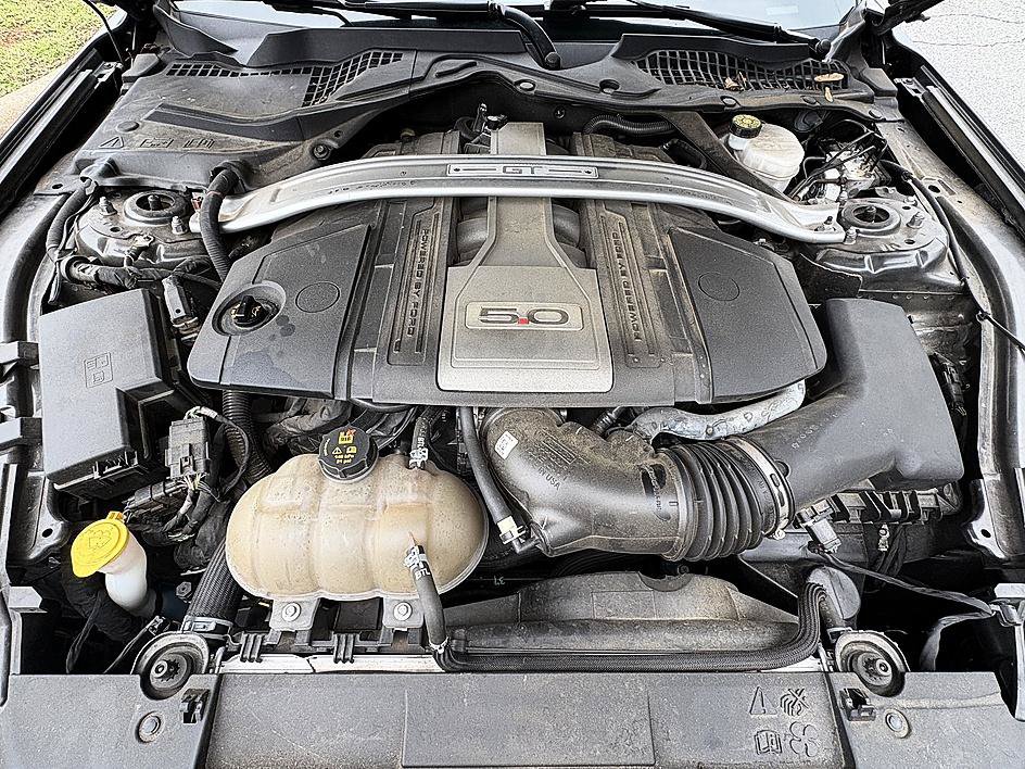 Used 2019 Ford Mustang GT Premium w/ Equipment Group 401A RWD image 21