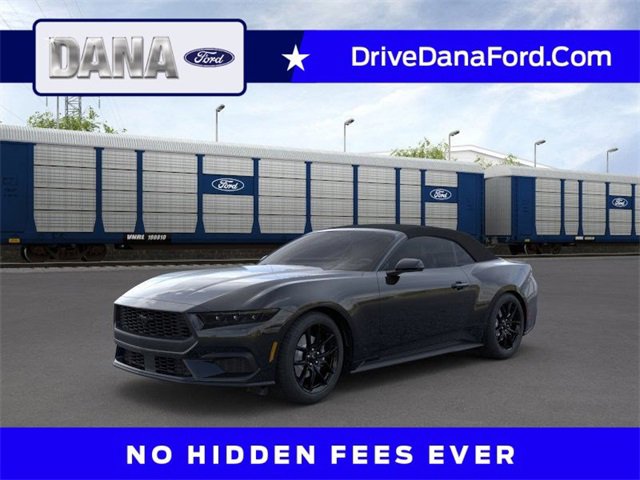 New 2025 Ford Mustang Convertible w/ Mustang Nite Pony Package