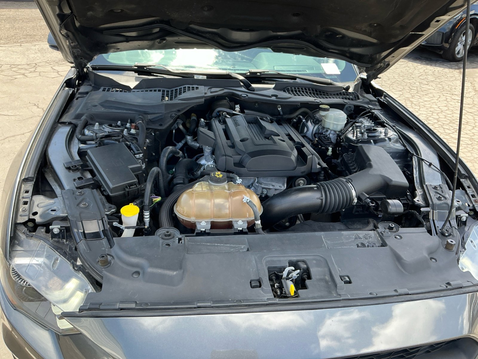 Used 2018 Ford Mustang Coupe RWD image 21