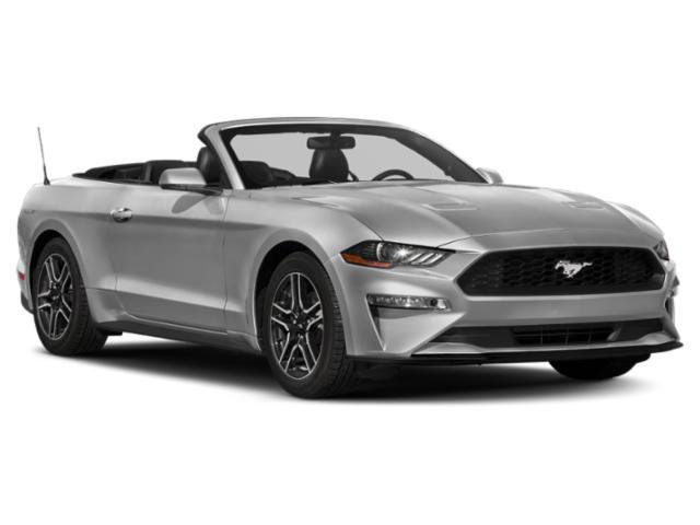 Used 2019 Ford Mustang Premium RWD image 7