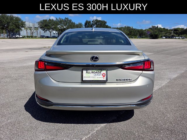 Used 2019 Lexus ES 300h w/ Accessory Package 2 FWD image 4