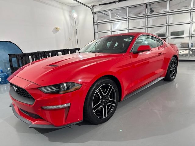 Used 2023 Ford Mustang Premium RWD image 3