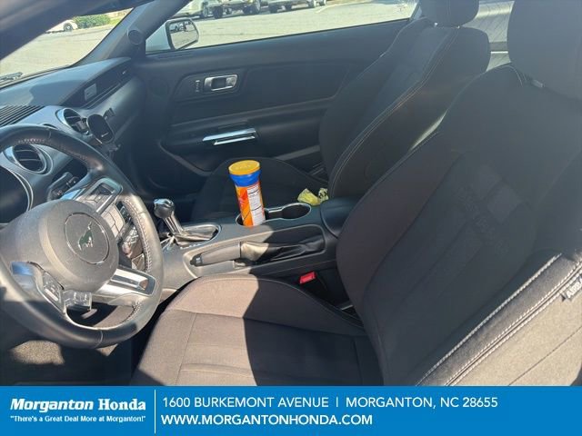 Used 2019 Ford Mustang GT w/ Equipment Group 301A image 15