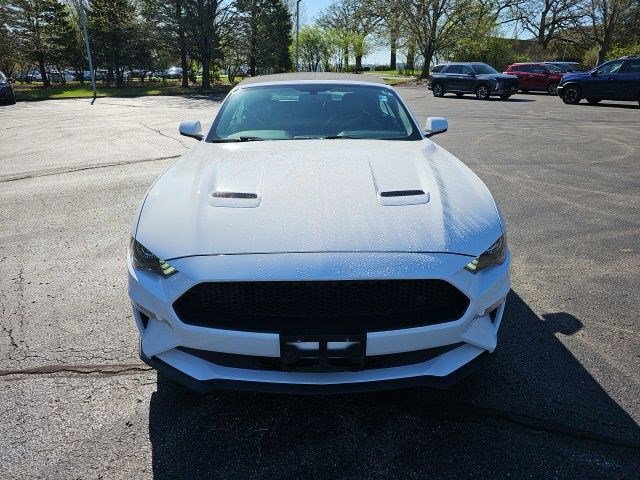 Used 2019 Ford Mustang Premium RWD image 9