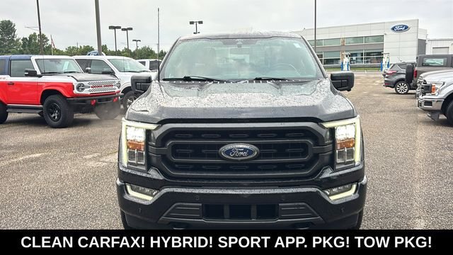 Used 2022 Ford F150 XLT w/ Equipment Group 302A High AWD/4WD image 6