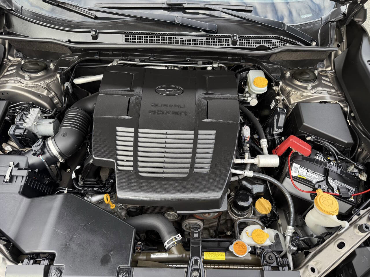 Used 2019 Subaru Forester Limited image 26