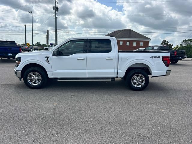 Used 2025 Ford F150 XLT w/ Equipment Group 301A Standard AWD/4WD image 7