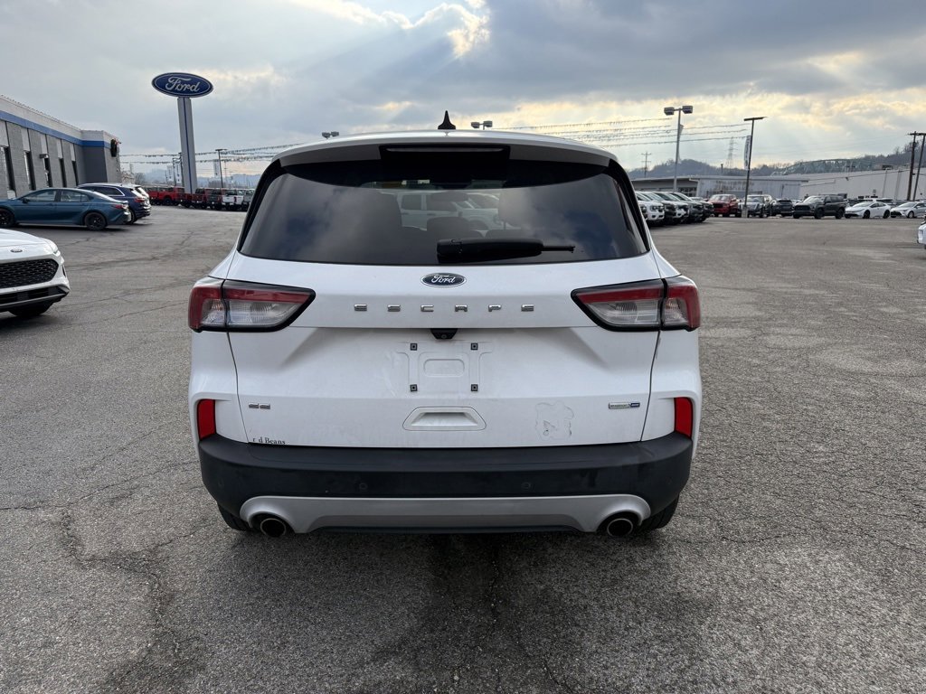 Used 2020 Ford Escape SE image 6