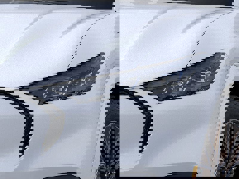 New 2025 Ford Mustang Mach-E Premium w/ Interior Protection Package image 18