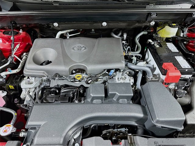 New 2025 Toyota RAV4 XLE Premium image 19
