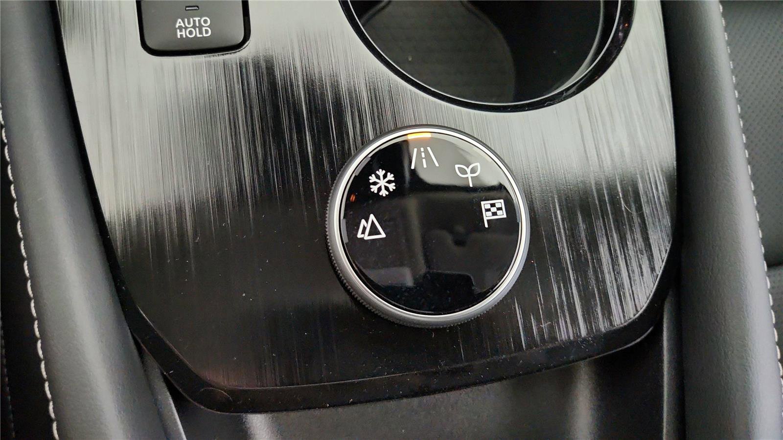 New 2025 Nissan Rogue Platinum w/ Platinum Premium Package image 35