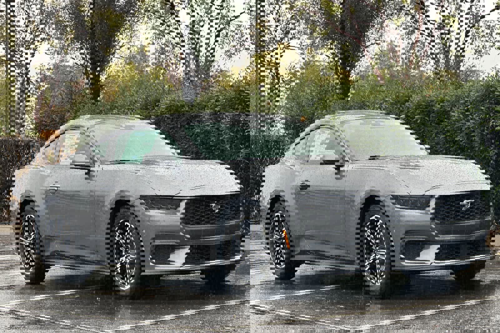 New 2025 Ford Mustang EcoBoost image 10