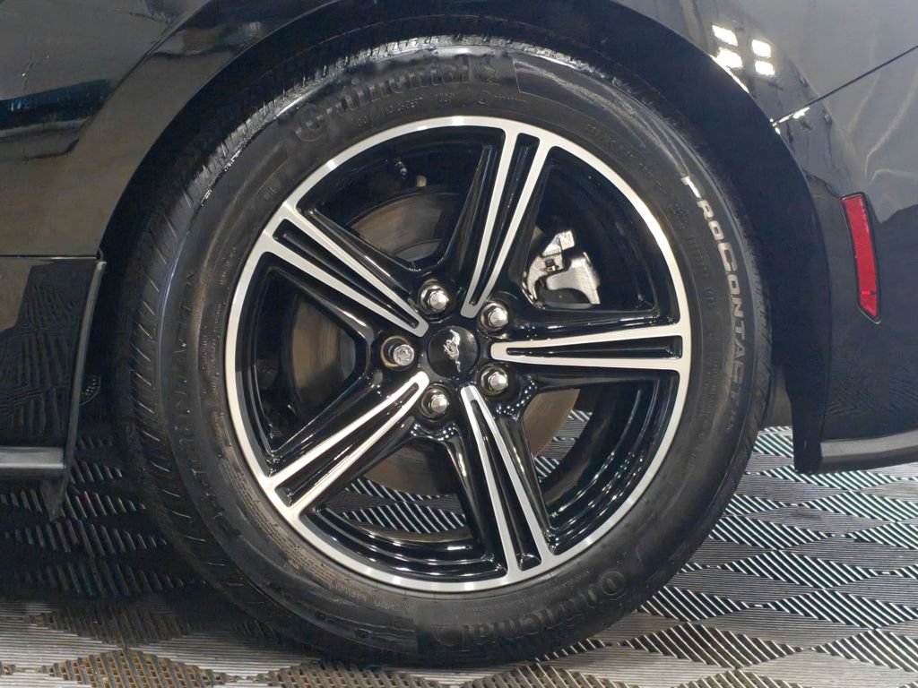 Used 2025 Ford Mustang Premium RWD image 69